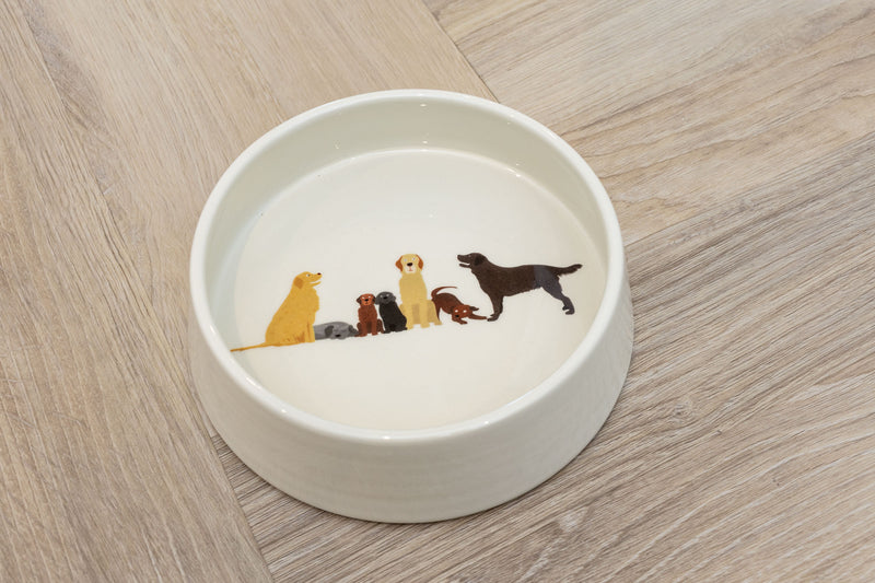 The Dog Lovers Box