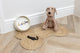 The Dog Lovers Box